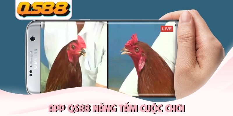 App QS88 nâng tầm cuộc chơi