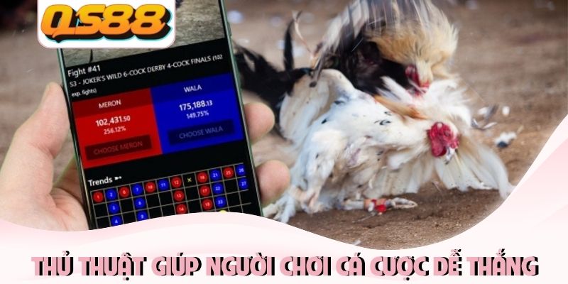 Thủ thuật từ cao thủ giúp người chơi cá cược dễ thắng