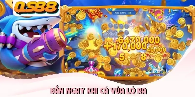 Bắn ngay khi cá vừa ló ra