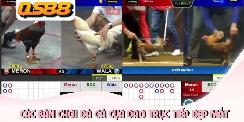 Các bàn chơi đá gà cựa dao trực tiếp đẹp mắt