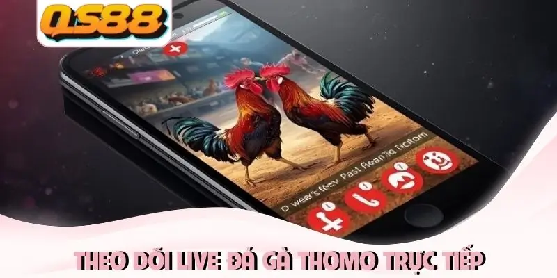 Theo dõi live đá gà Thomo trực tiếp Theo dõi live đá gà Thomo trực tiếp