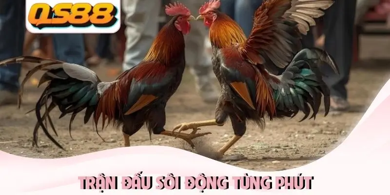 Trận đấu sôi động từng phút Trận đấu sôi động từng phút
